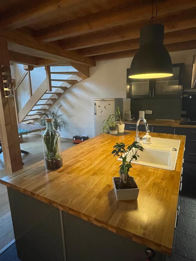 Chalet Le Lotus Blanc Les Deux Alpes Exteriér fotografie